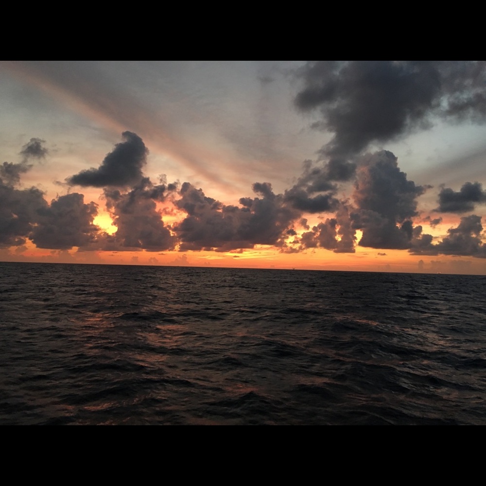 Meet your Posher, Kali